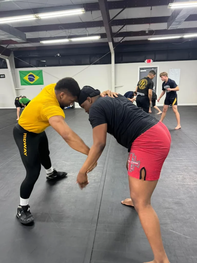 Wrestling lesson